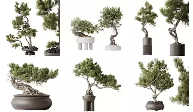 6 Different SETS of Plant Indoor SET VOL140