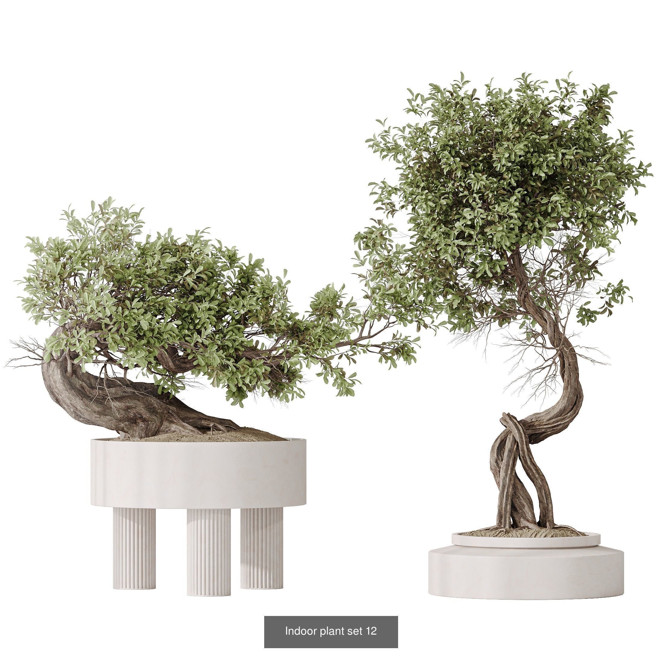 6 Different SETS of Plant Indoor SET VOL140 3D Model Collection_2