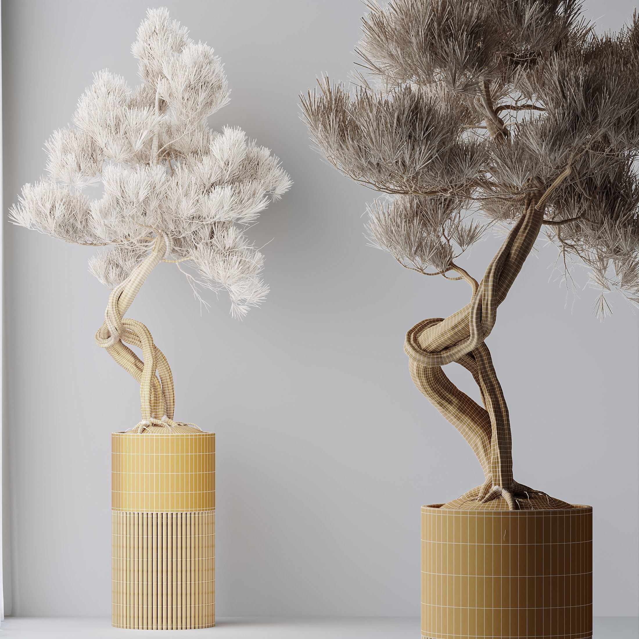 6 Different SETS of Plant Indoor SET VOL140 3D Model Collection_20