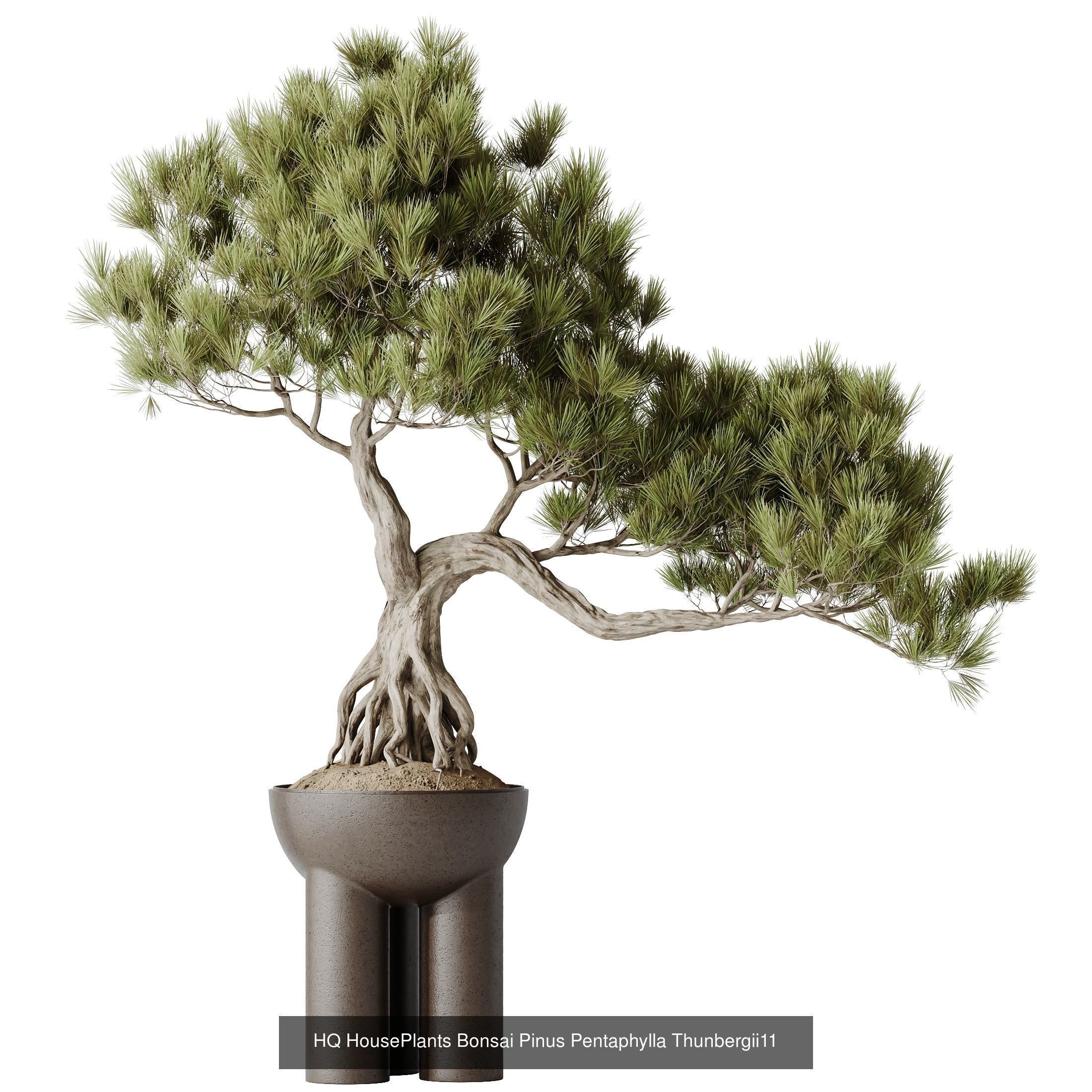 6 Different SETS of Plant Indoor SET VOL140 3D Model Collection_5