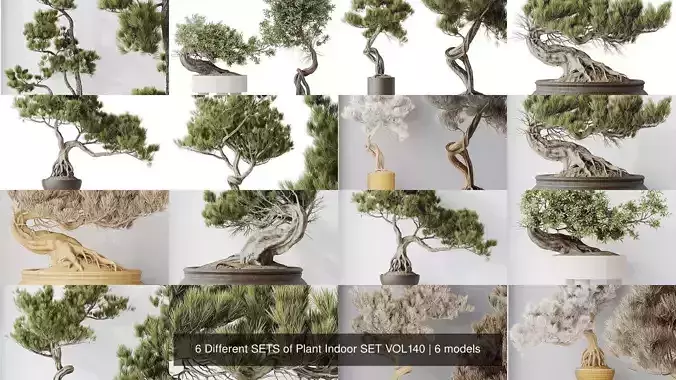 6 Different SETS of Plant Indoor SET VOL140