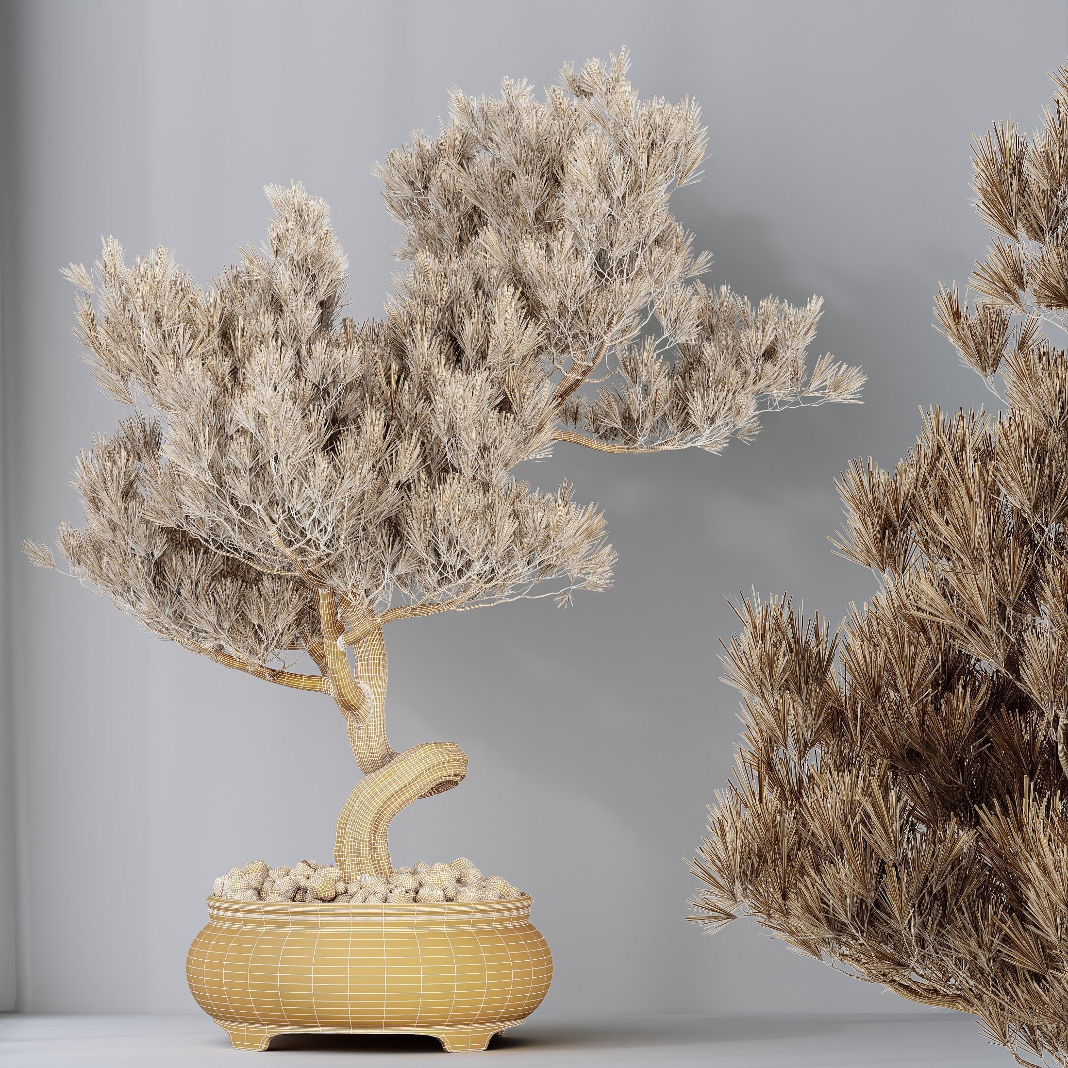 6 Different SETS of Plant Indoor SET VOL140 3D Model Collection_25