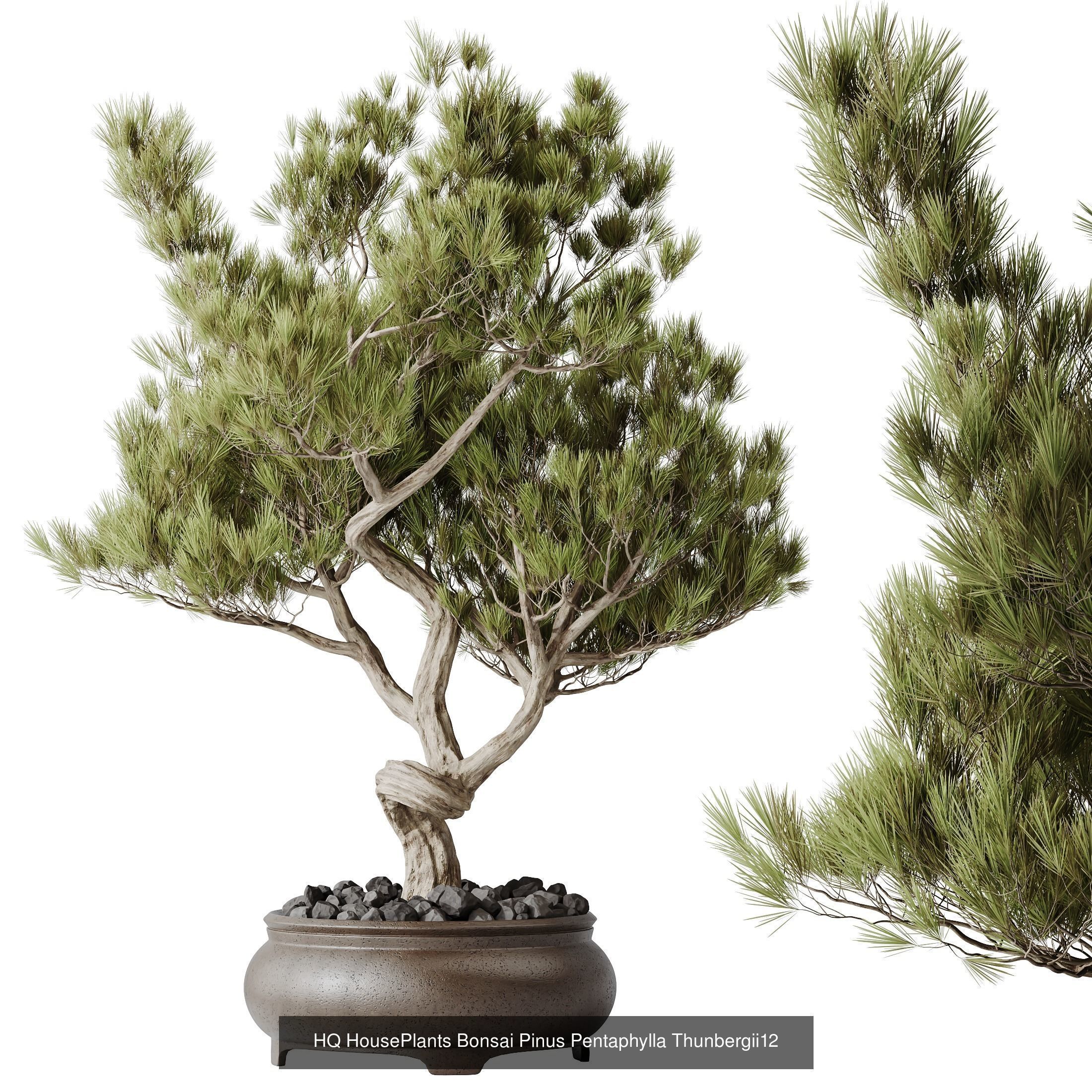 6 Different SETS of Plant Indoor SET VOL140 3D Model Collection_6