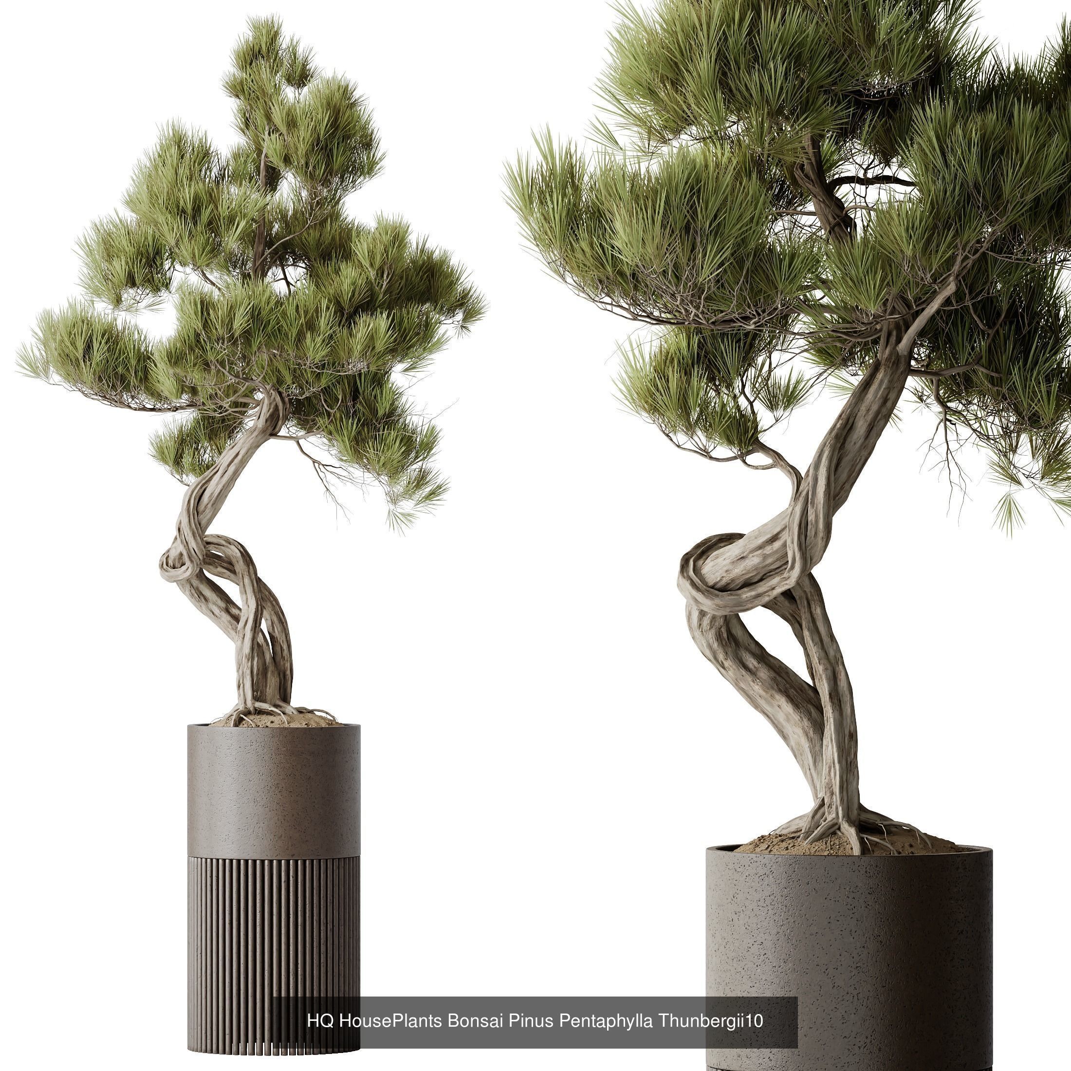 6 Different SETS of Plant Indoor SET VOL140 3D Model Collection_3