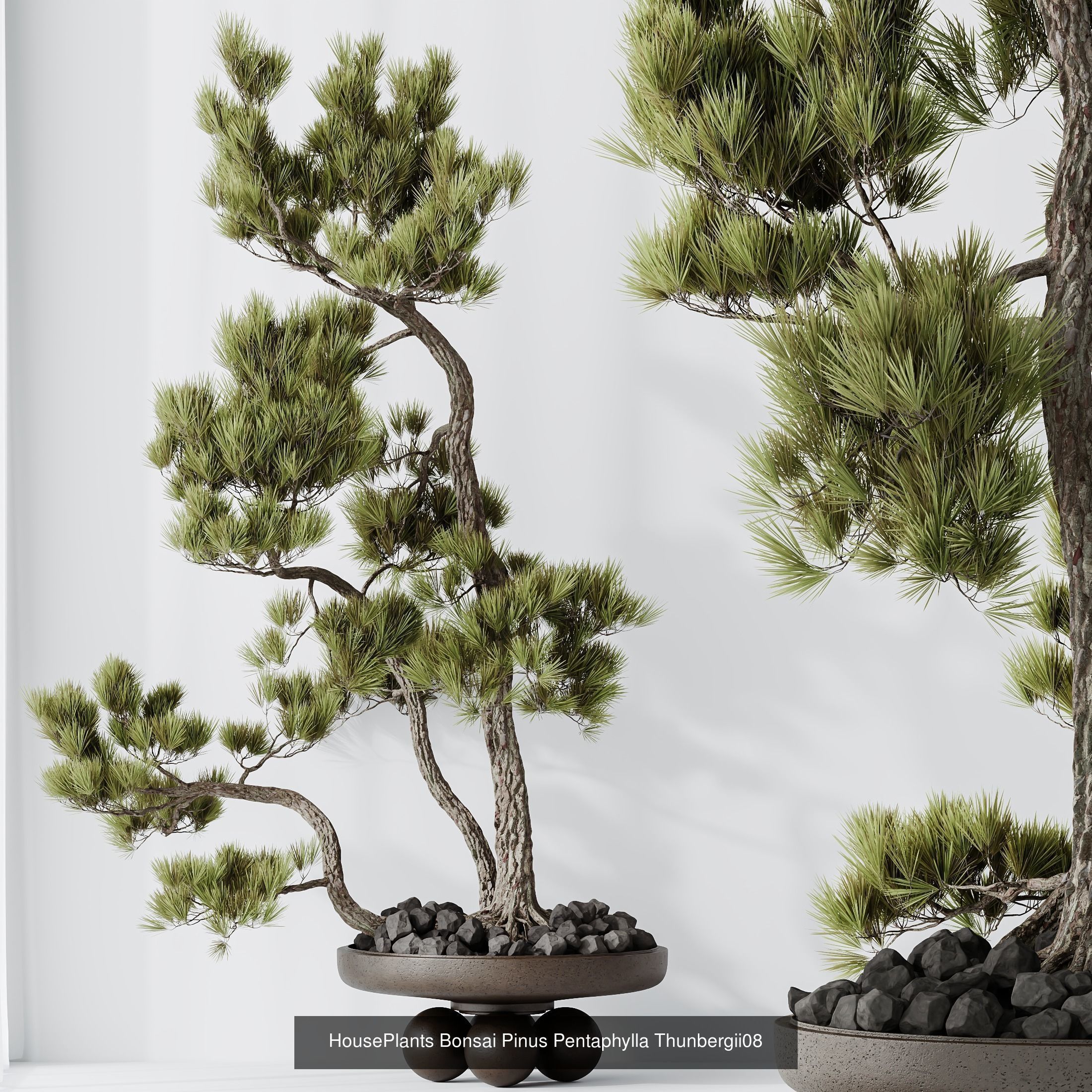 6 Different SETS of Plant Indoor SET VOL140 3D Model Collection_11