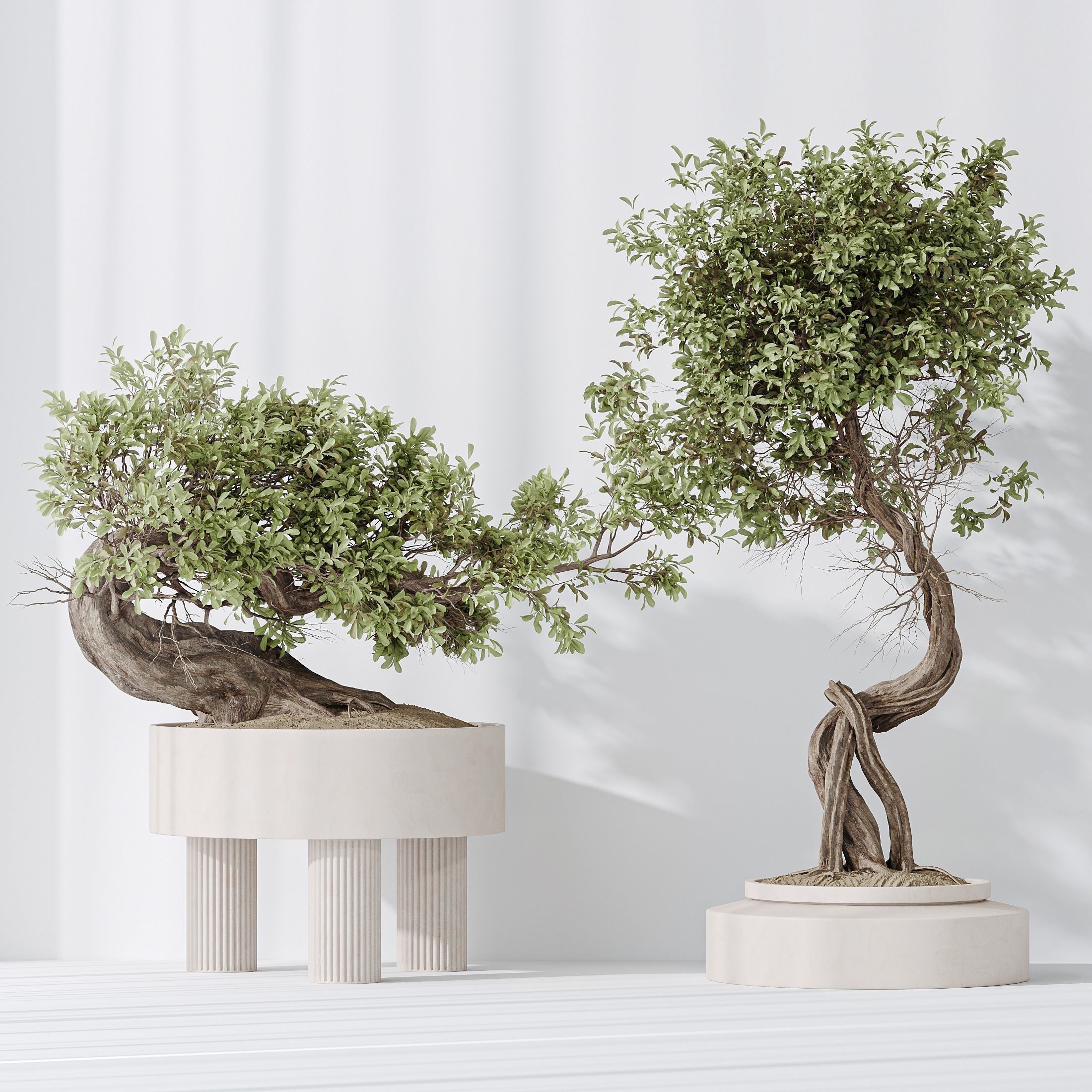 6 Different SETS of Plant Indoor SET VOL140 3D Model Collection_7