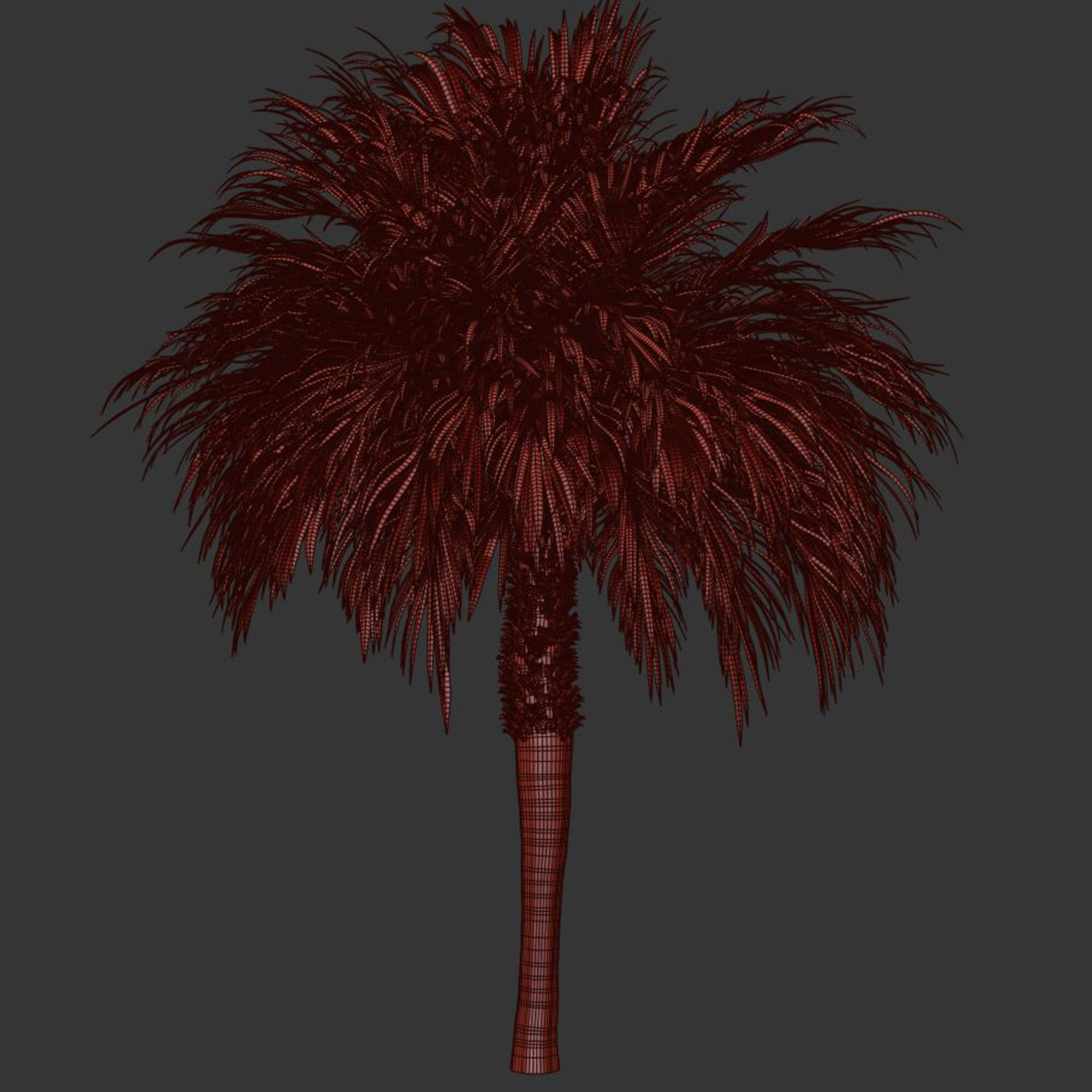 Palm tree3 Low-poly 3D model_4