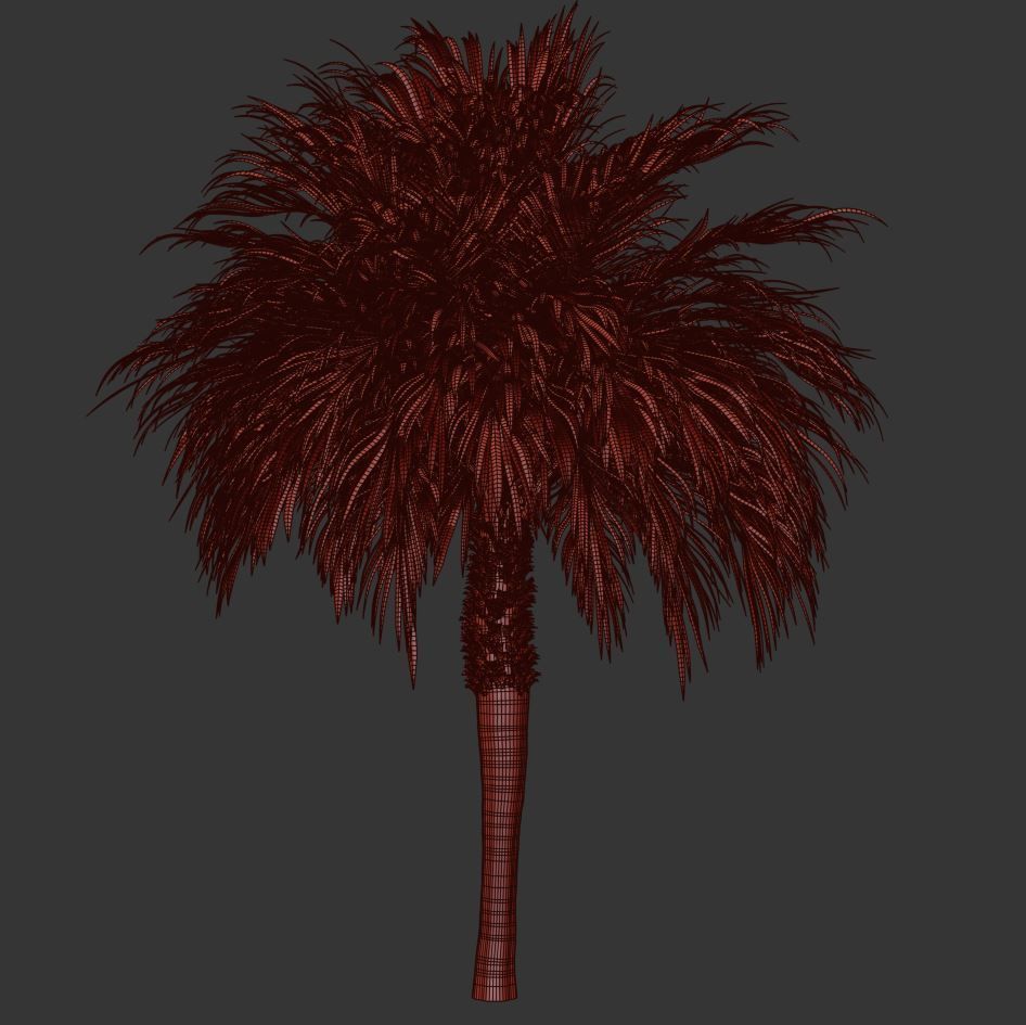 Palm tree3 Low-poly 3D model_2
