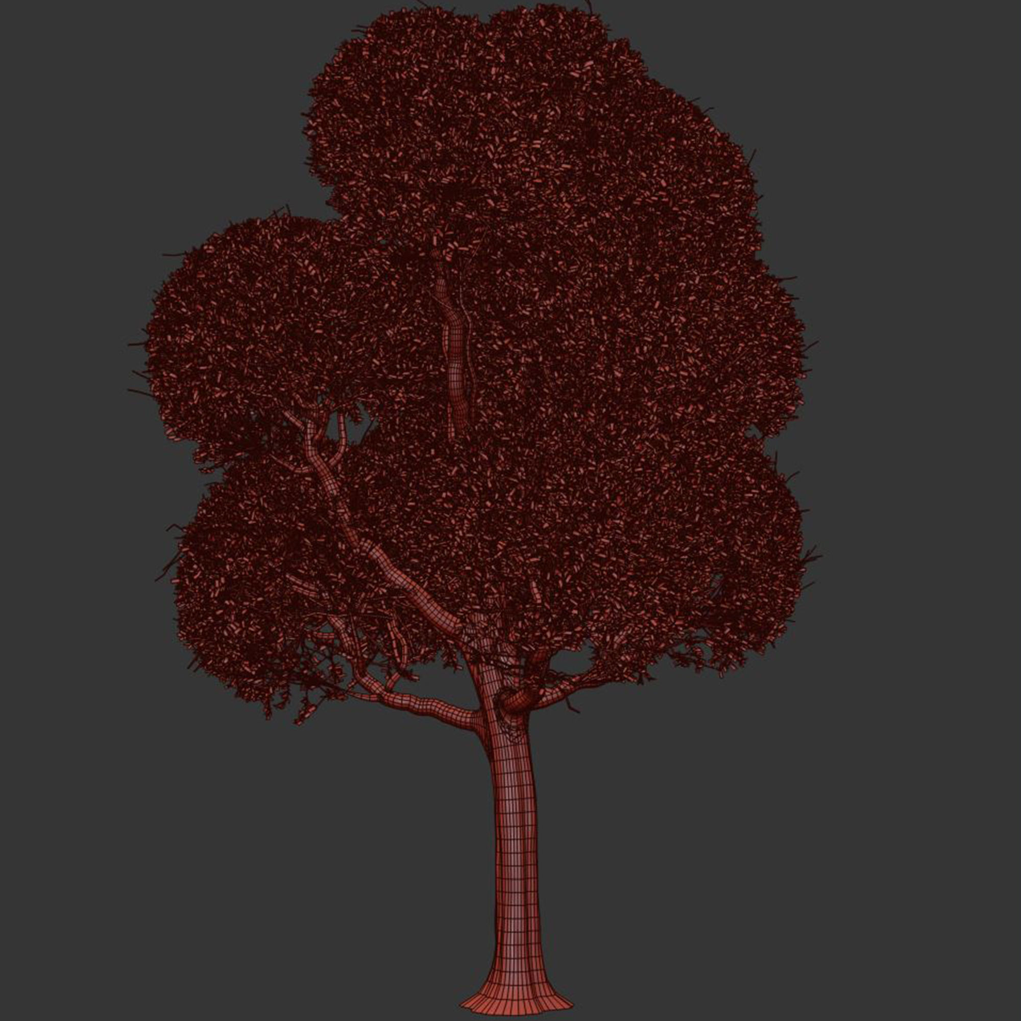 spherical tree 3D model_4