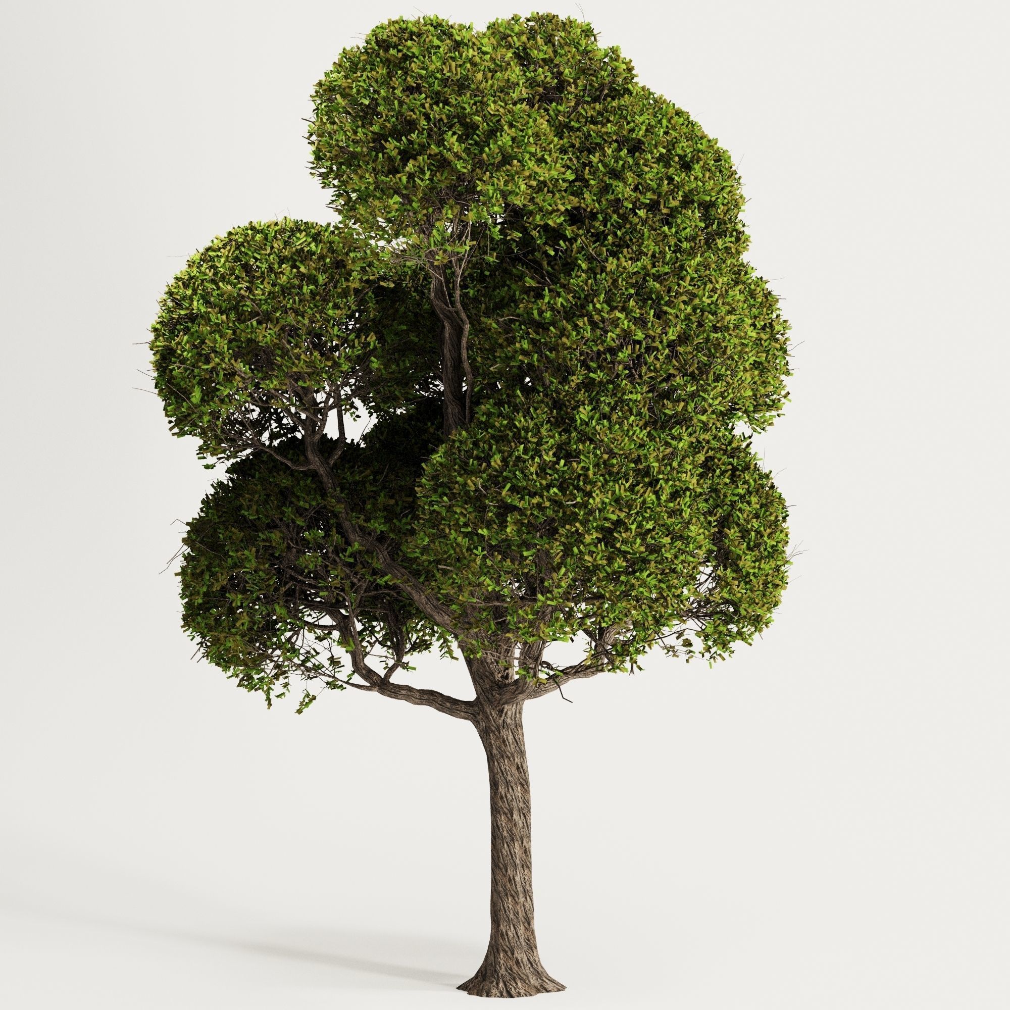 spherical tree 3D model_1