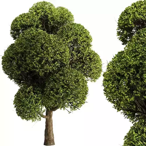 spherical tree2 3D model
