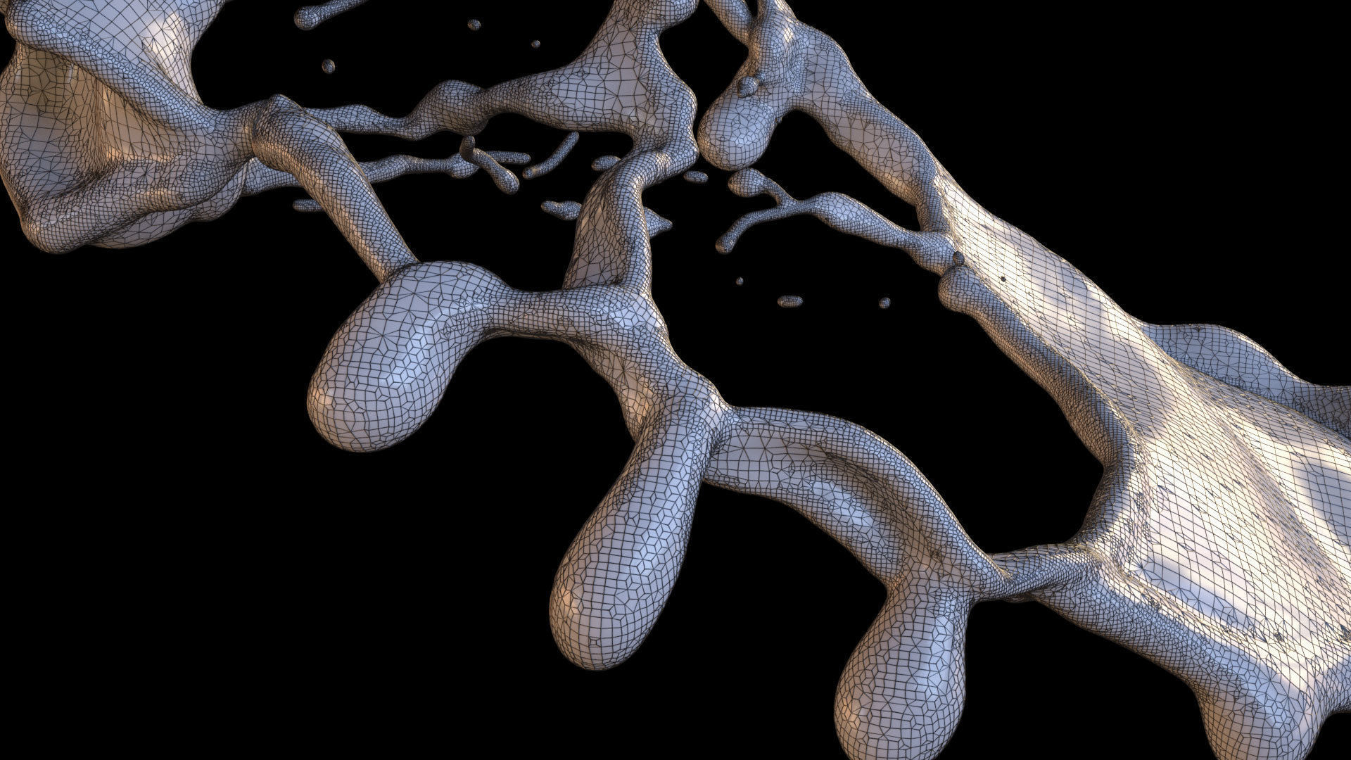 Crazy Splash 3D model_6