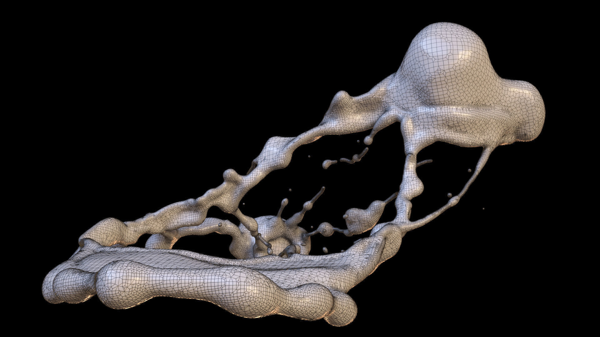 Crazy Splash 3D model_5