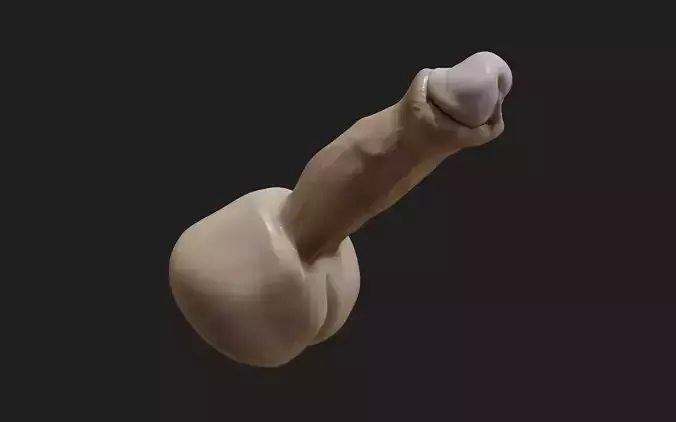 Penis