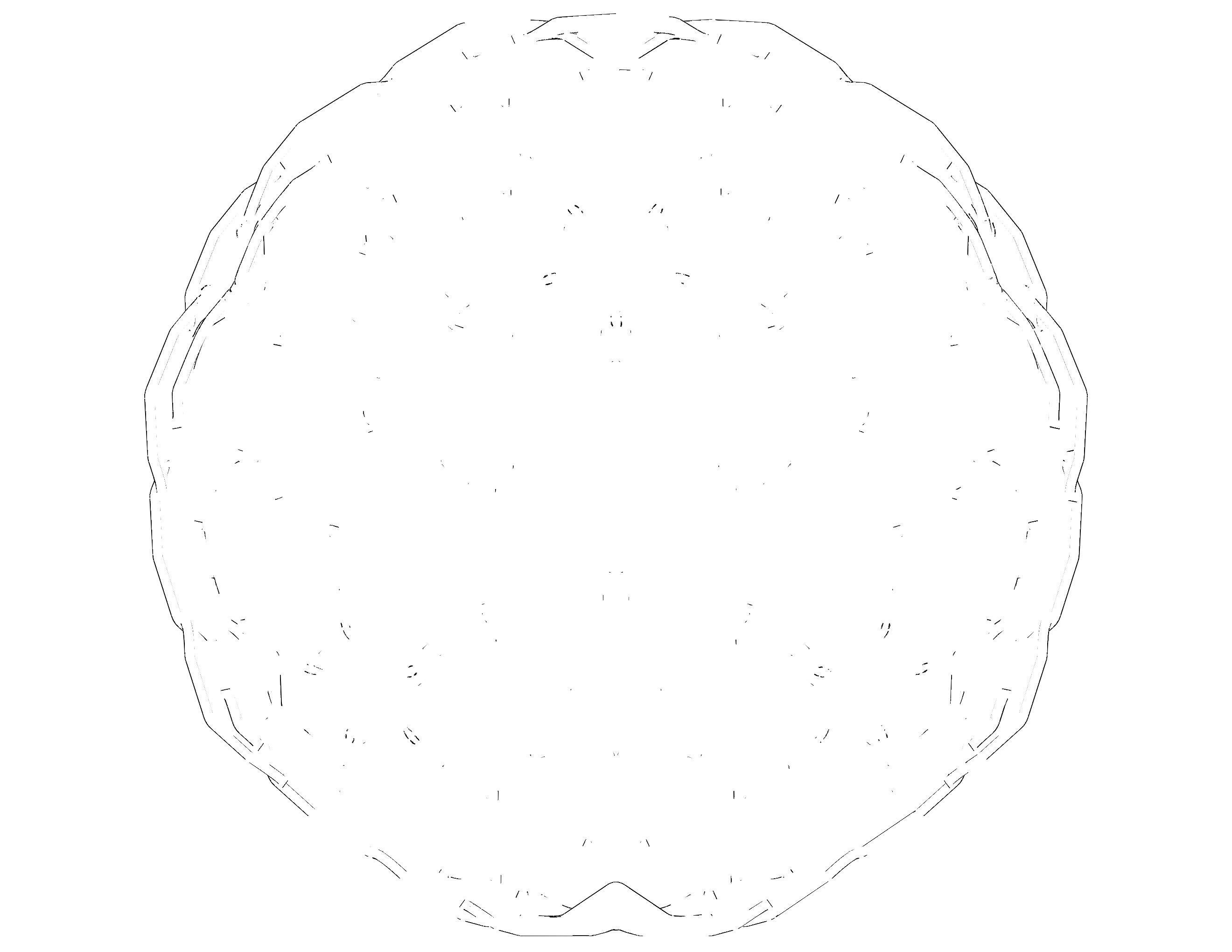 Wireframe Shape Sierpinski Buckyball 3D print model_22