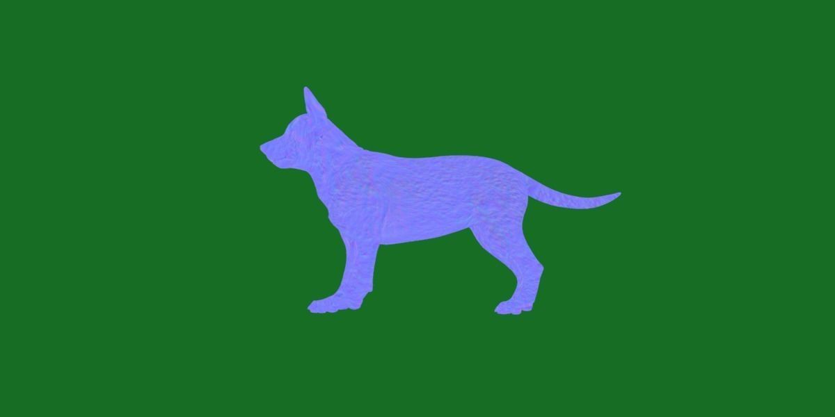 Australian Cattle Dog Breed Low-poly 3D model_19