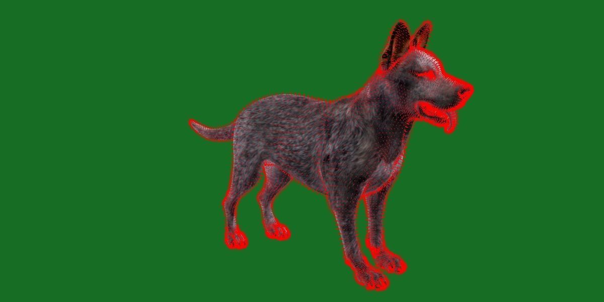 Australian Cattle Dog Breed Low-poly 3D model_10