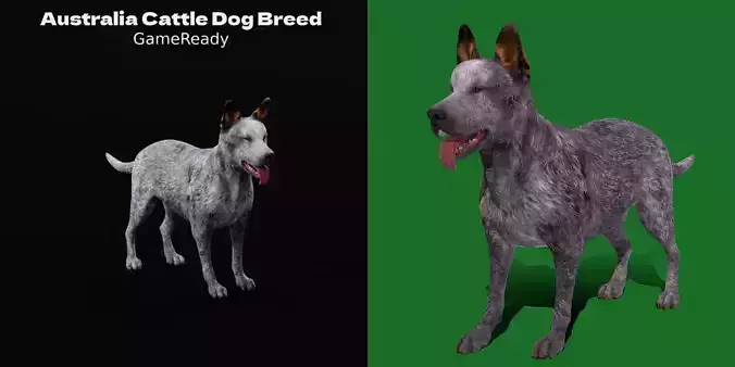 Australian Cattle Dog Breed Low-poly 3D model