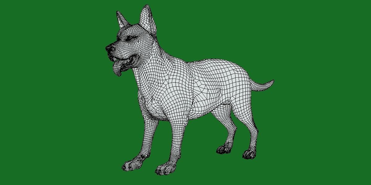 Australian Cattle Dog Breed Low-poly 3D model_8