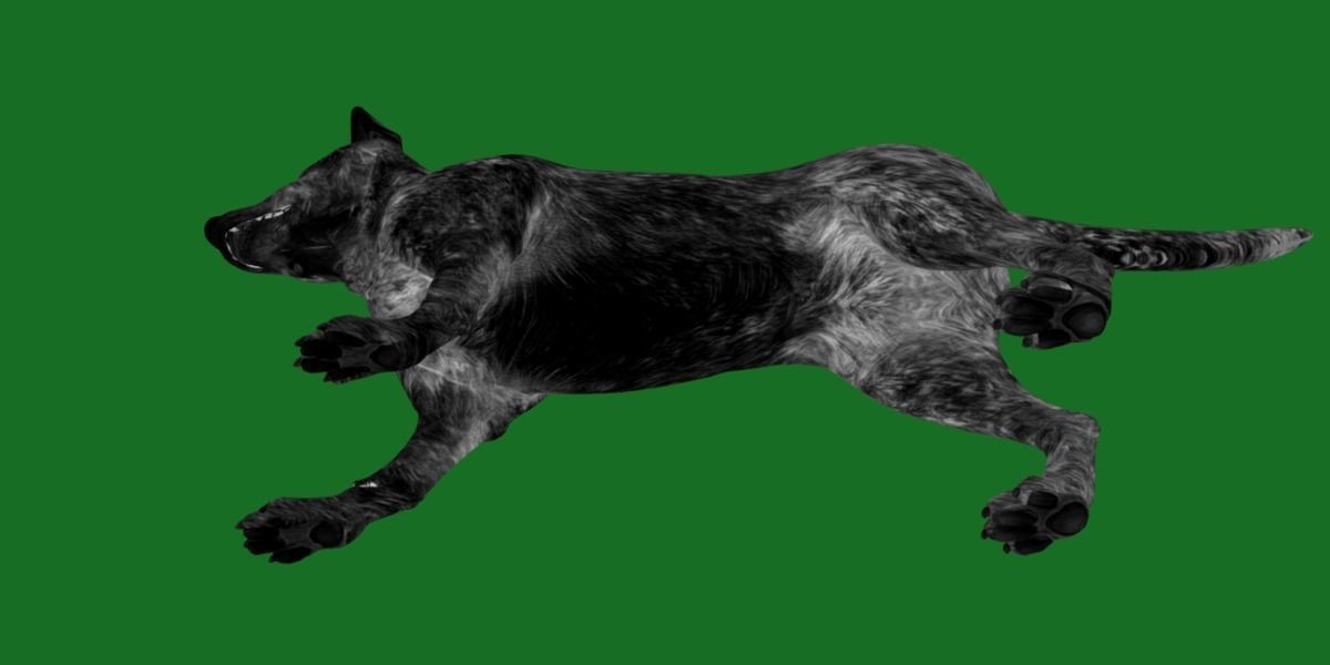 Australian Cattle Dog Breed Low-poly 3D model_21