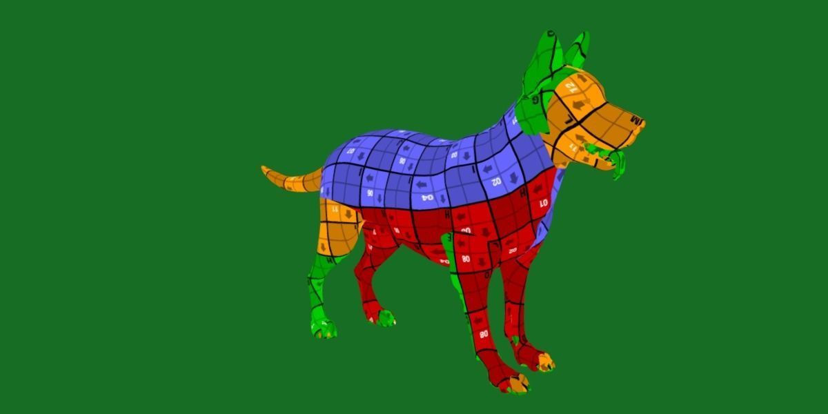 Australian Cattle Dog Breed Low-poly 3D model_11