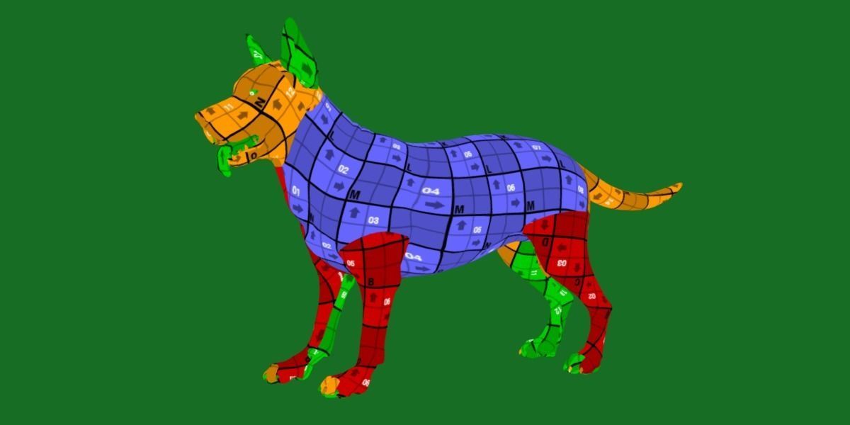 Australian Cattle Dog Breed Low-poly 3D model_12