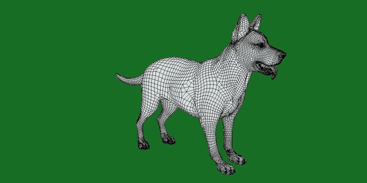 Australian Cattle Dog Breed Low-poly 3D model_9
