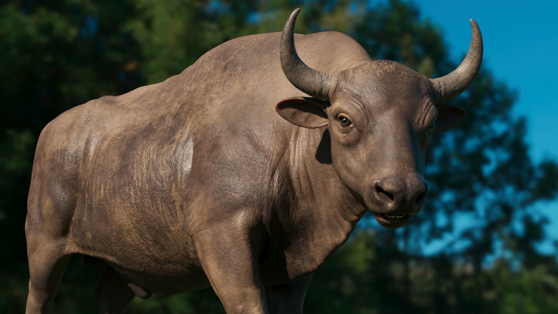 3D European bison    3D model_6