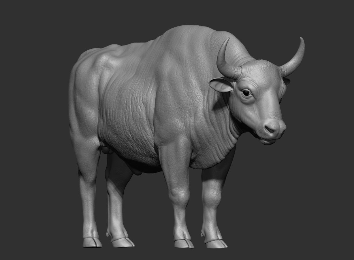 3D European bison    3D model_10
