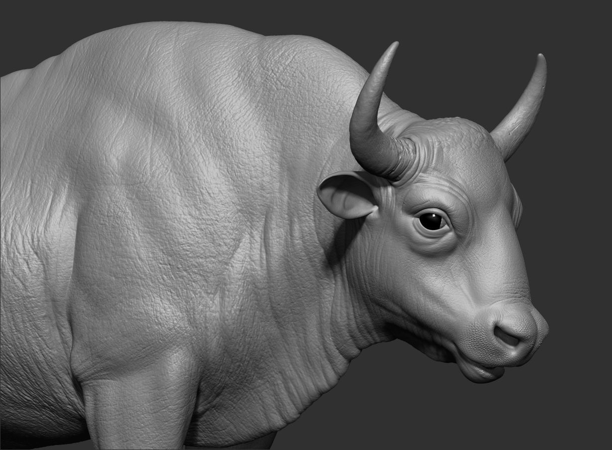 3D European bison    3D model_12