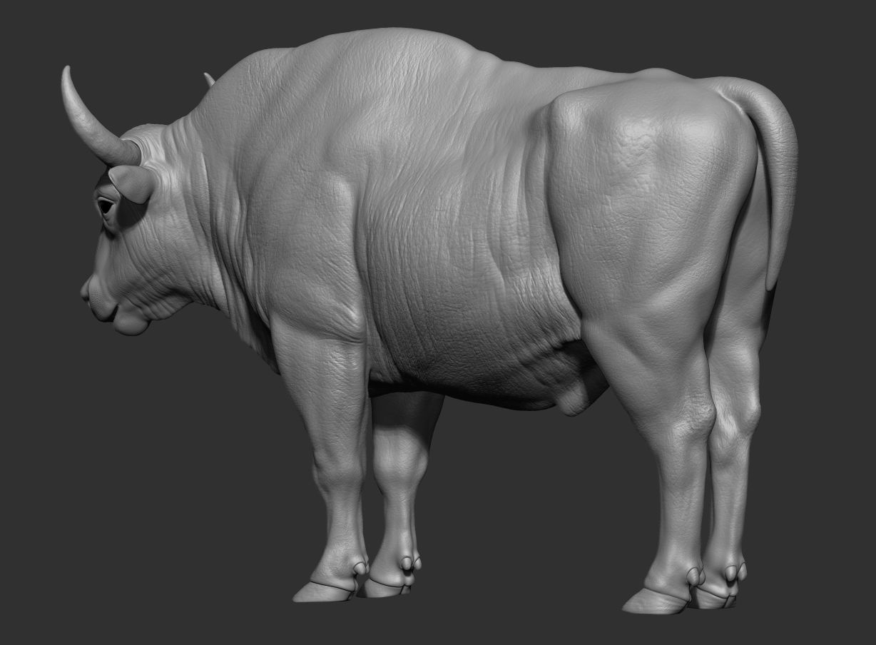 3D European bison    3D model_11