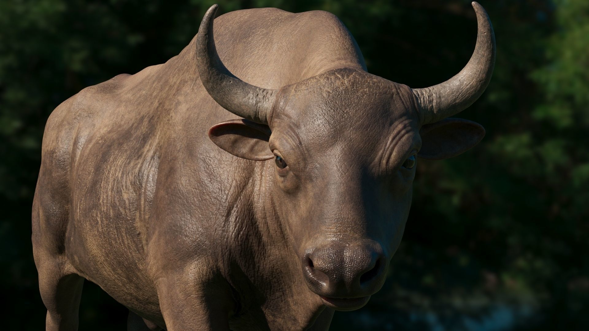 3D European bison    3D model_7