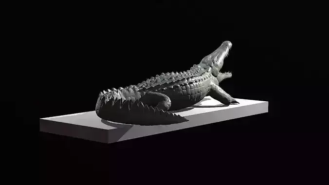 Crocodile model