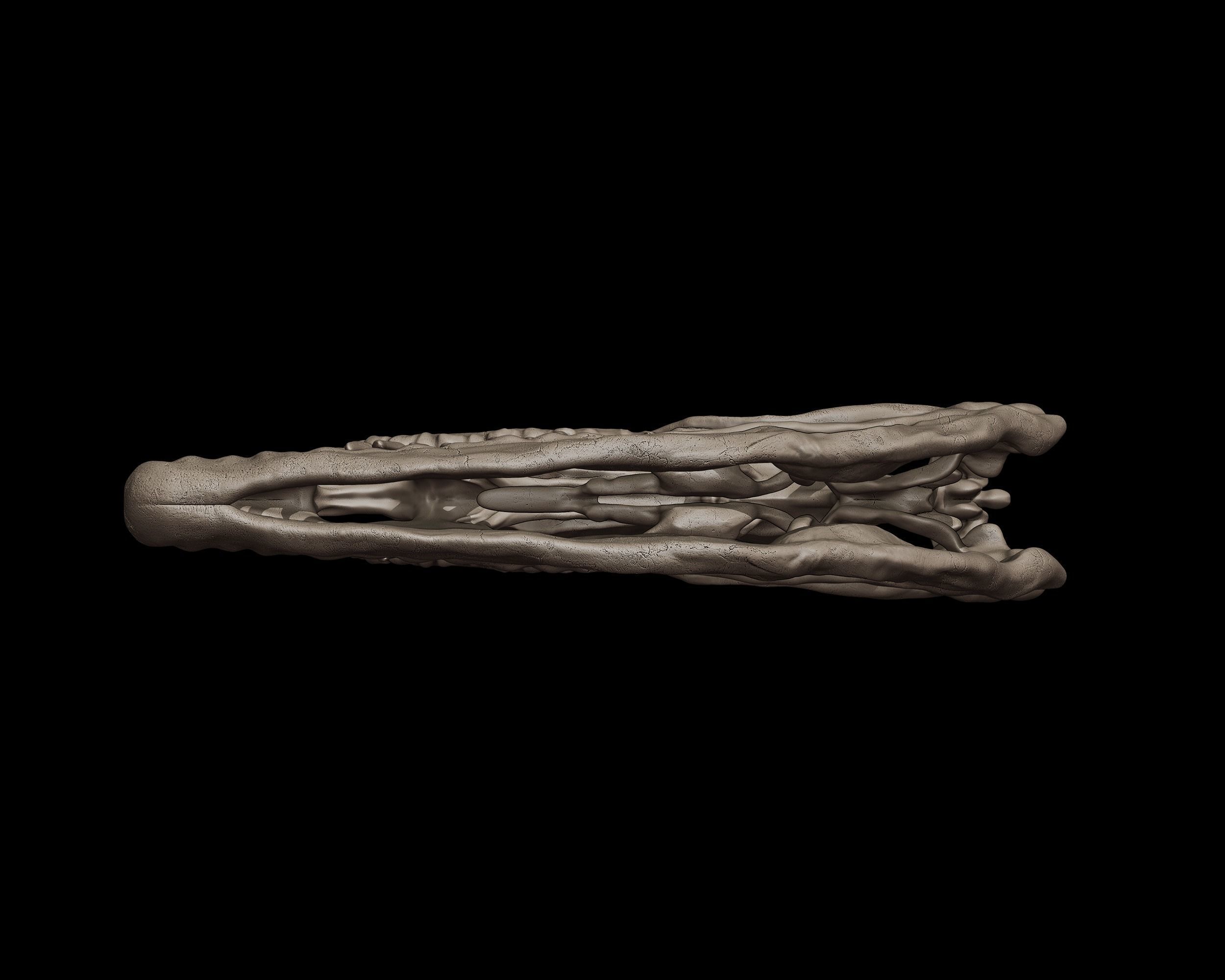 Dilophosaurus Skull  3D print model_4