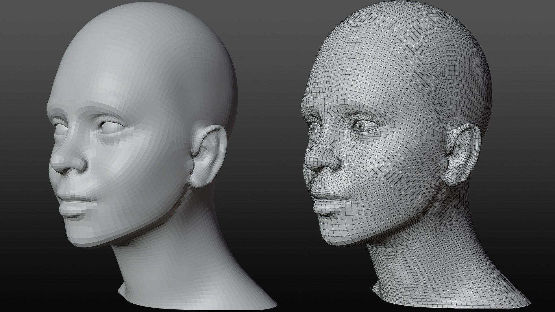Female head base mesh 3D model_3