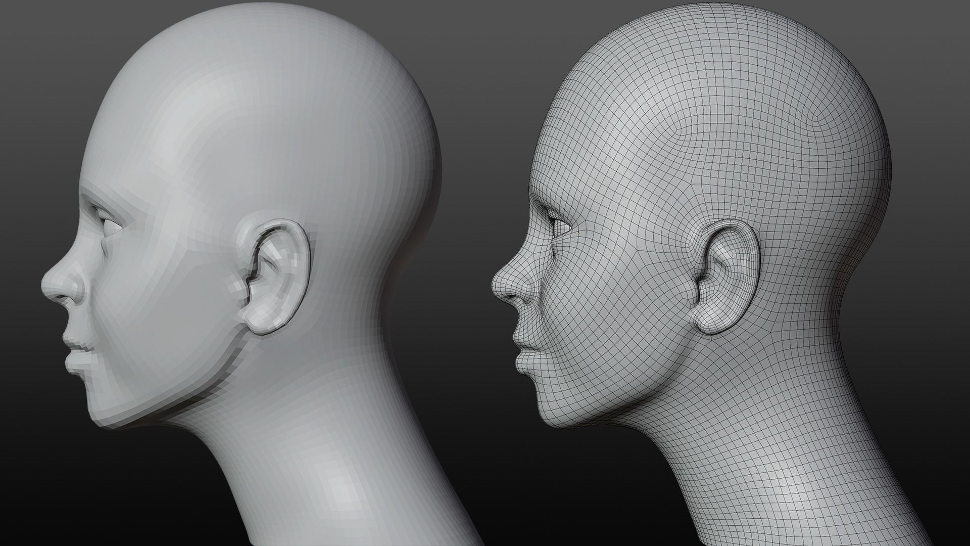 Female head base mesh 3D model_2