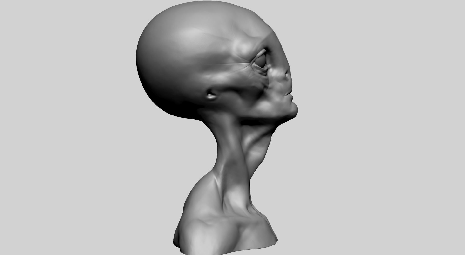 Alien Head 3D model_3