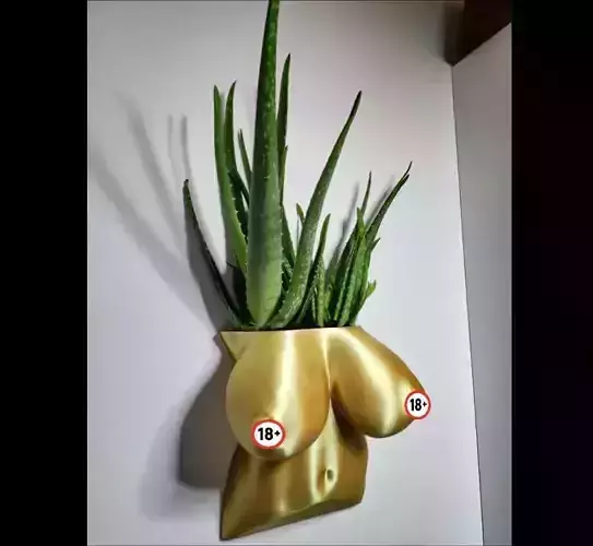 Body Flowerpot 3D print model