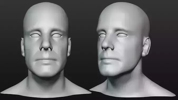 Male head base mesh