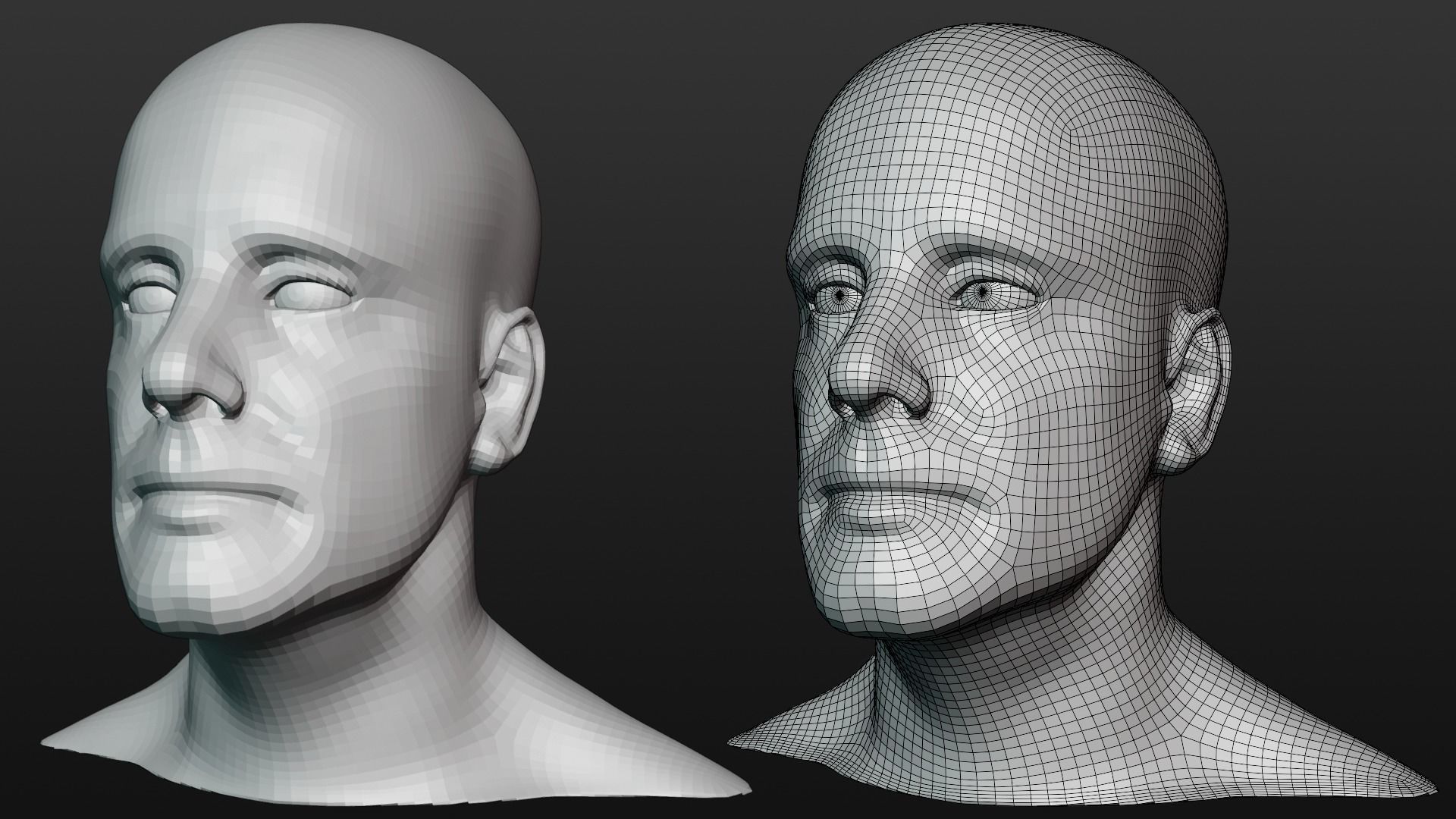Male head base mesh 3D model_4