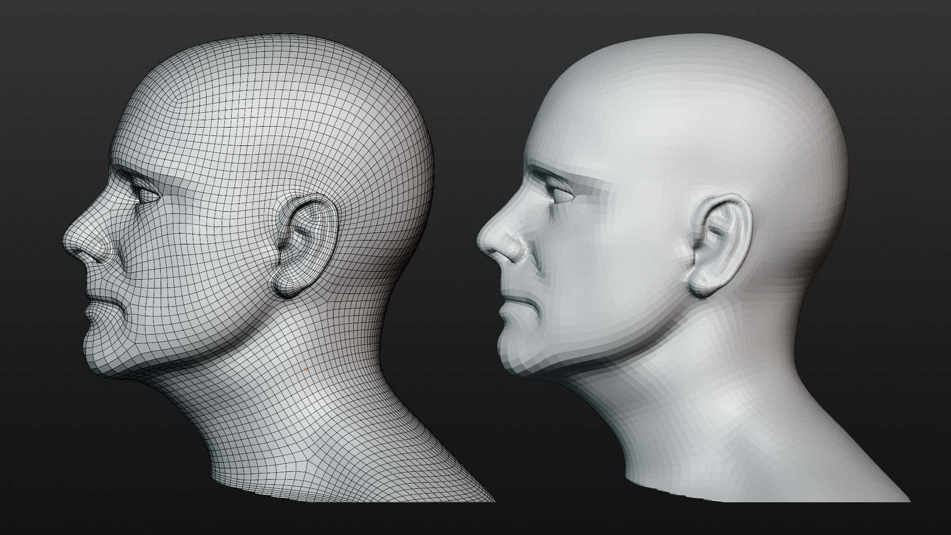 Male head base mesh 3D model_2