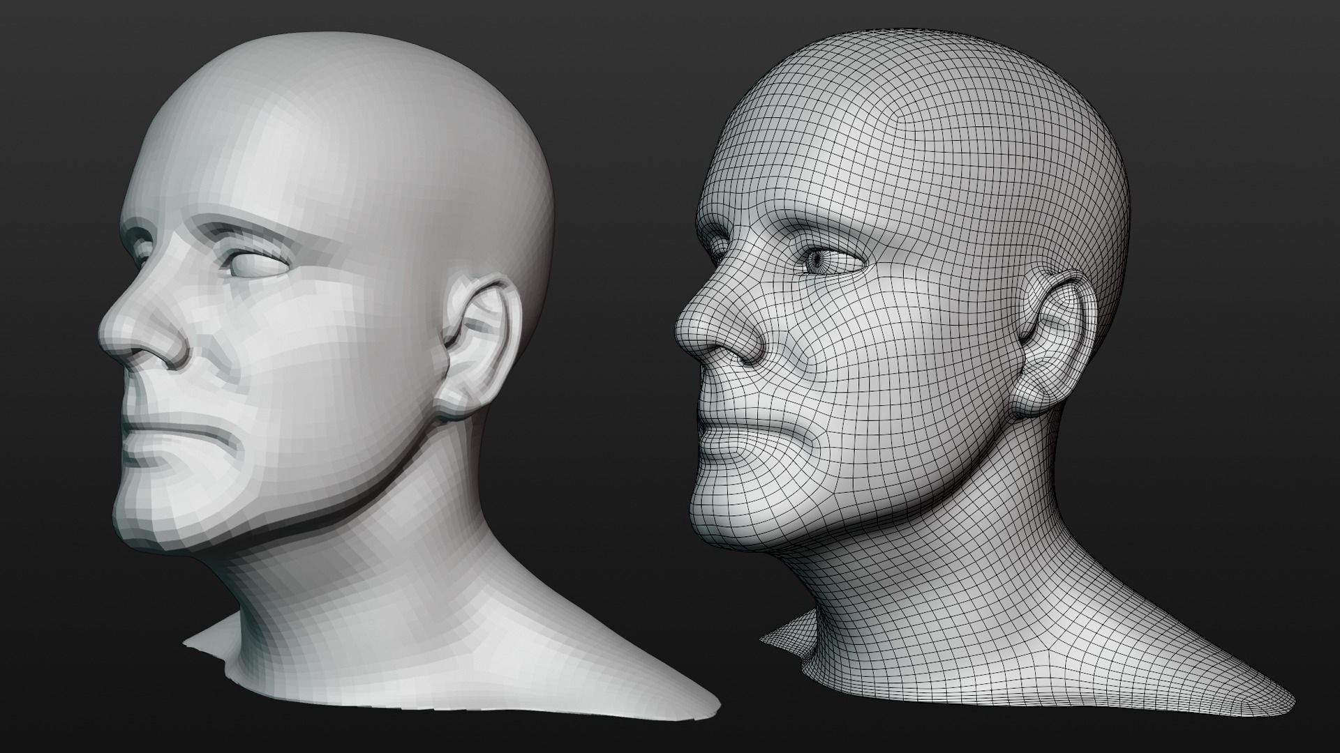 Male head base mesh 3D model_3
