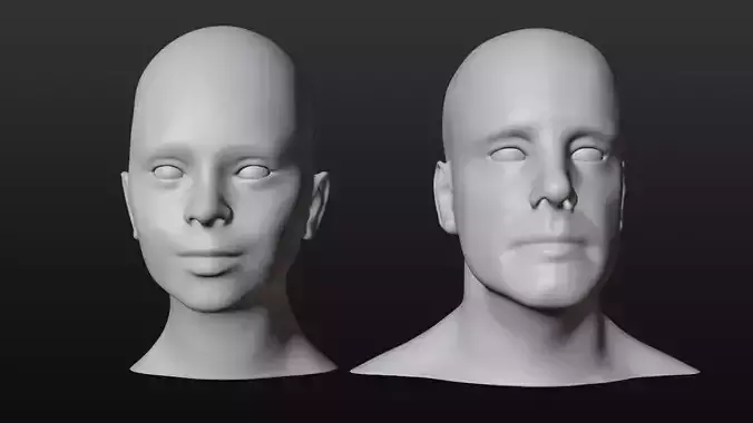 FemaleMale head Base mesh