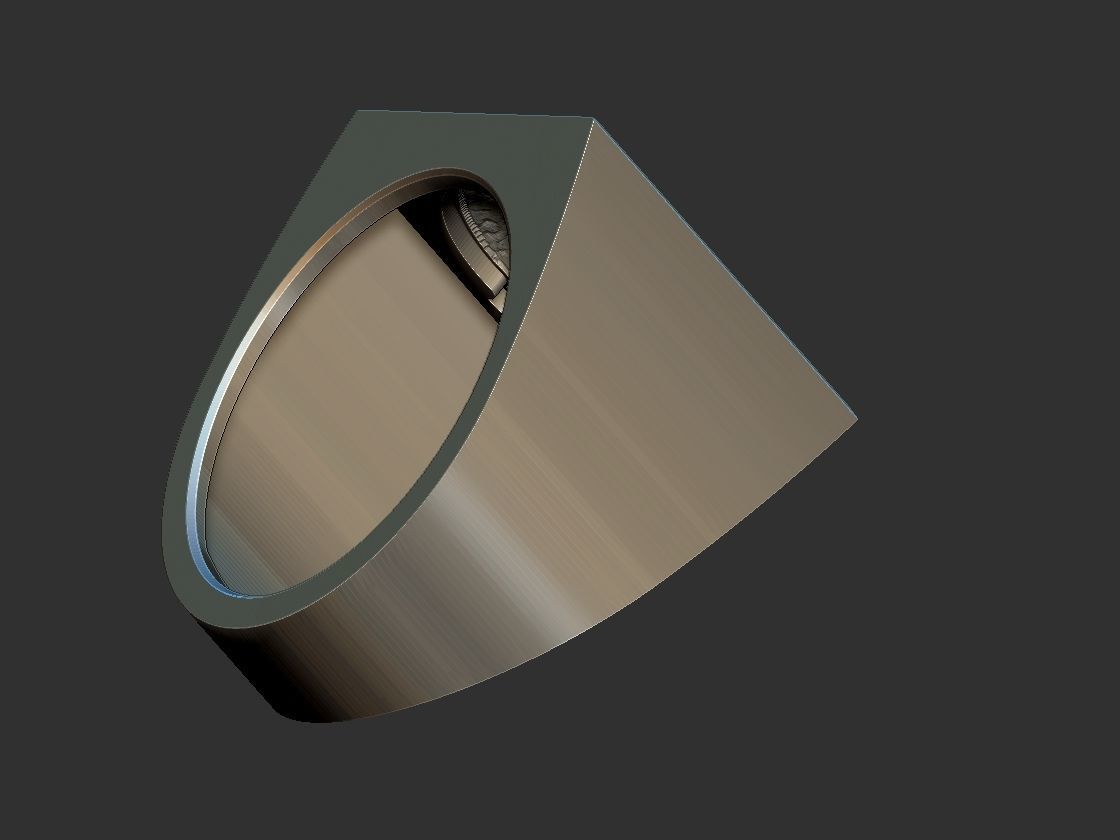 Hands Holding the World Ring 3D print model_8