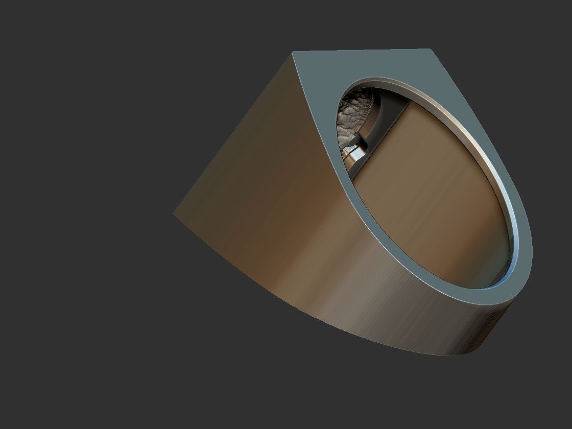 Hands Holding the World Ring 3D print model_10