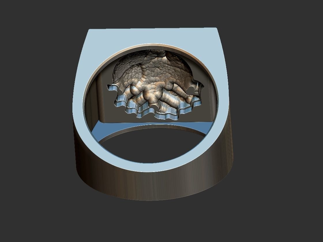 Hands Holding the World Ring 3D print model_9