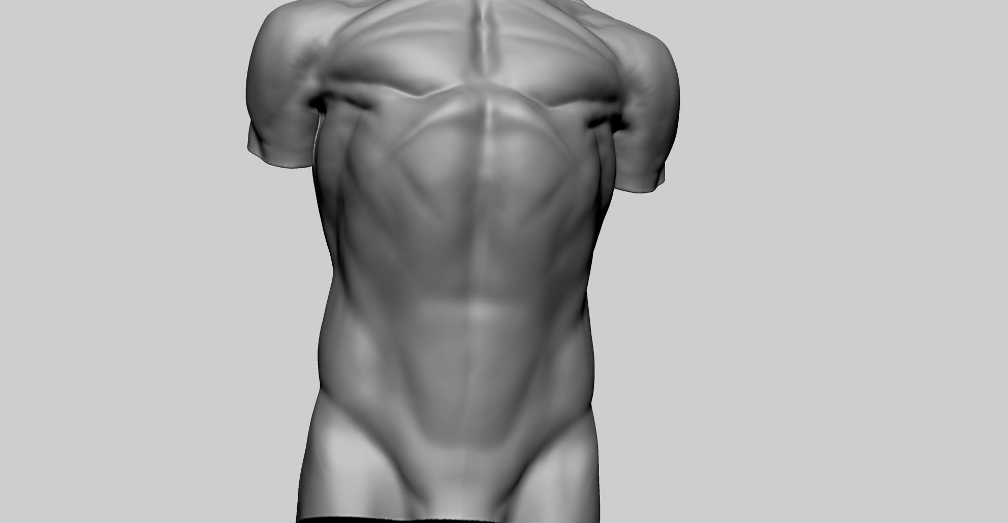 Base Male Torso C 3D model_9