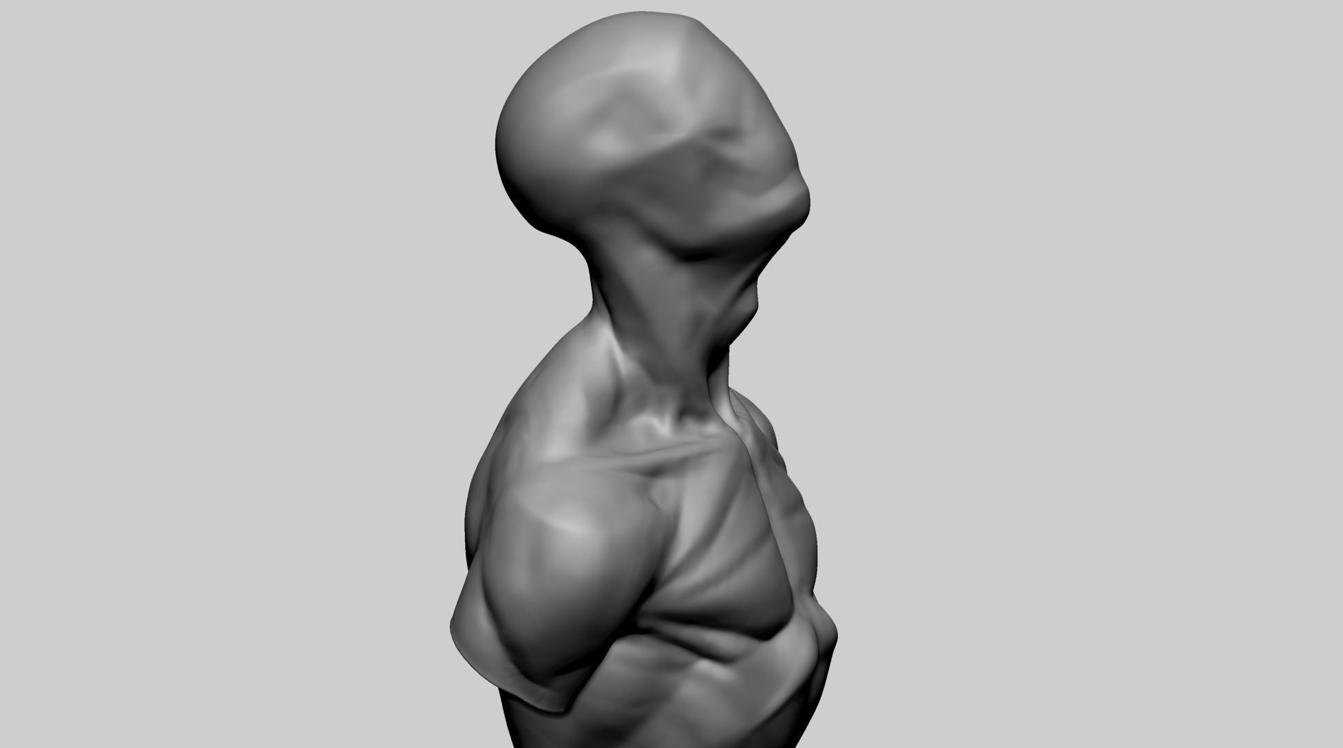 Base Male Torso C 3D model_5
