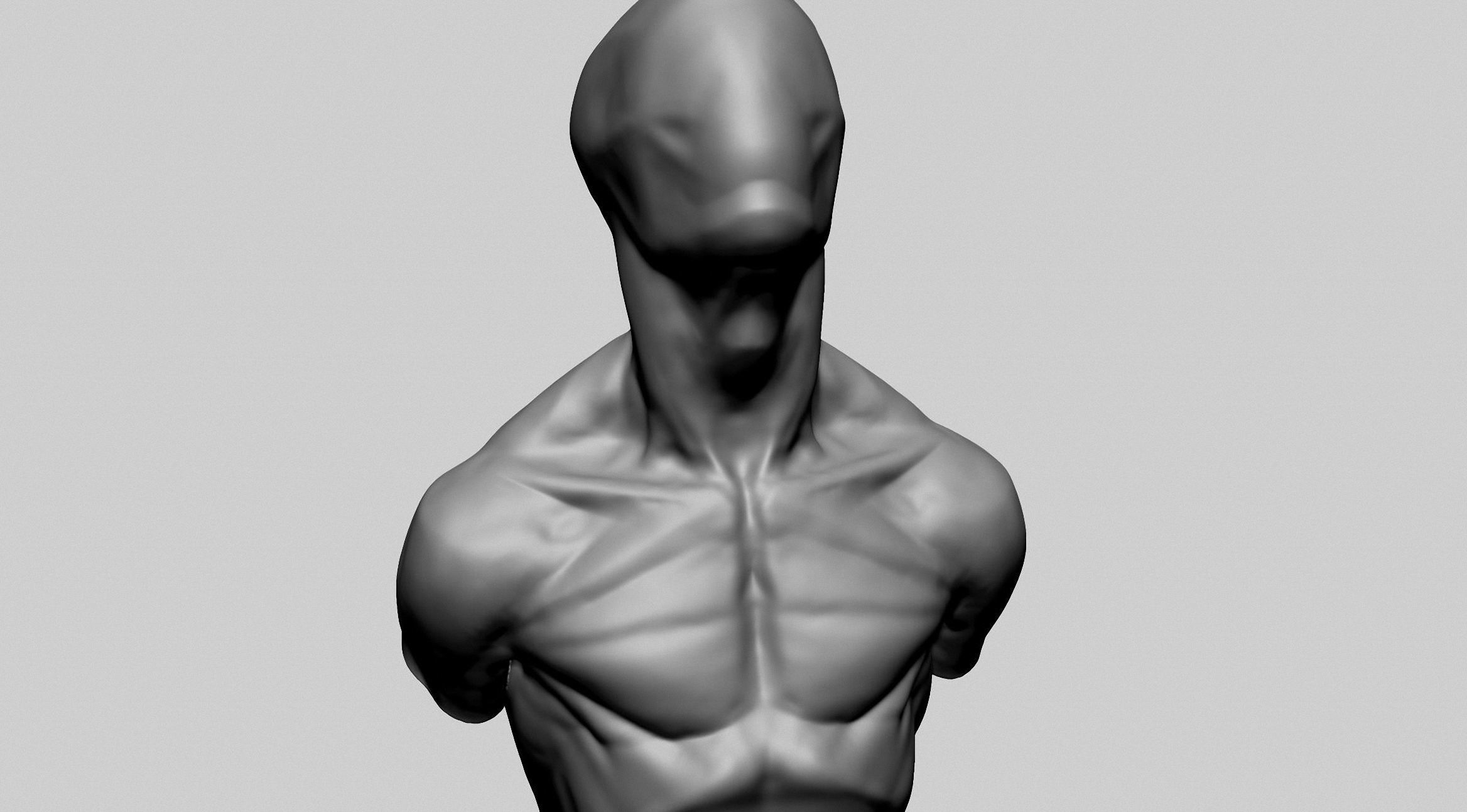 Base Male Torso C 3D model_4