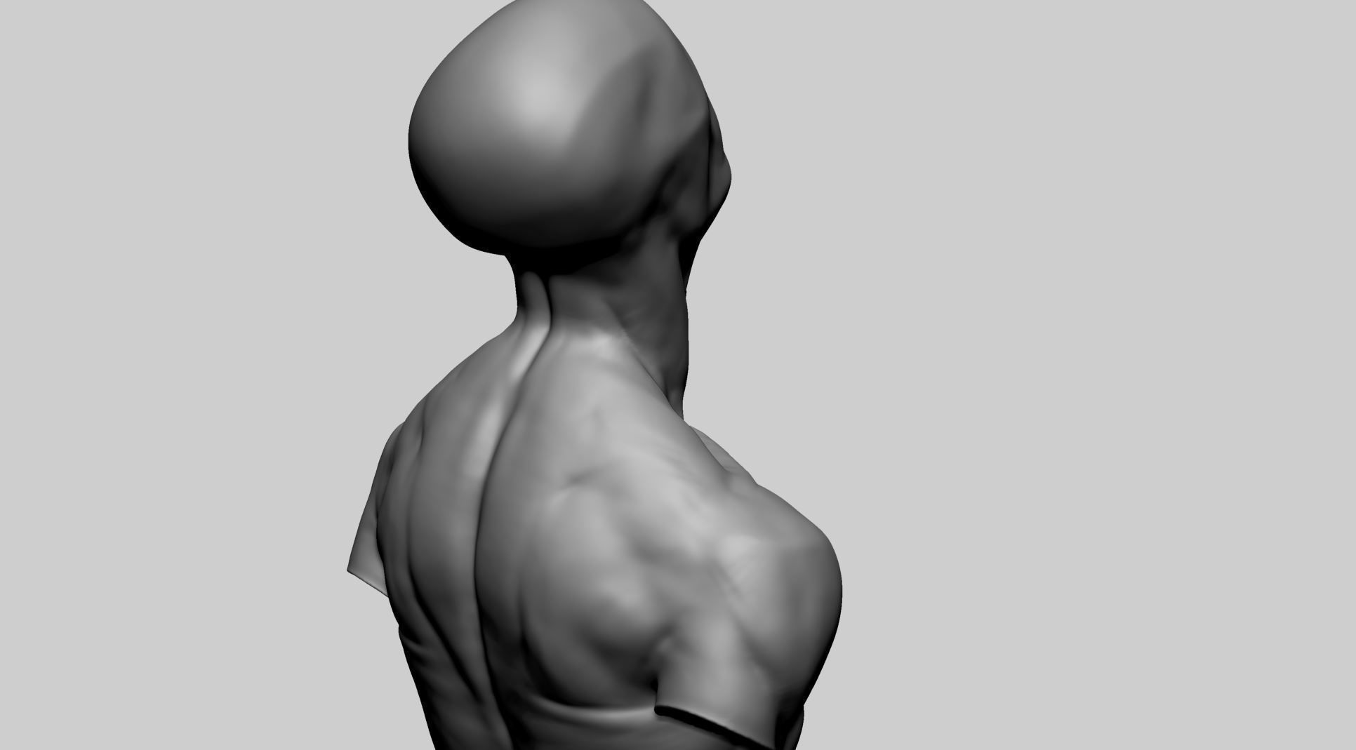 Base Male Torso C 3D model_6